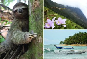 Todo lo que necesitas saber