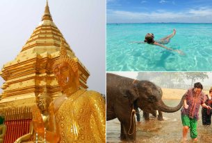 Todo lo que necesitas saber