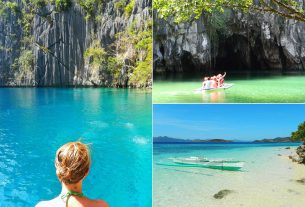 Todo lo que necesitas saber