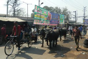 Dicas da Índia que você precisa saber antes de viajar